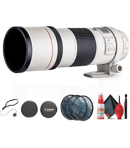 Amazon.com : Canon EF 300mm f/4L IS USM Telephoto Fixed Lens for